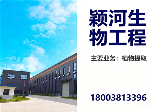 颖河济源线上分站